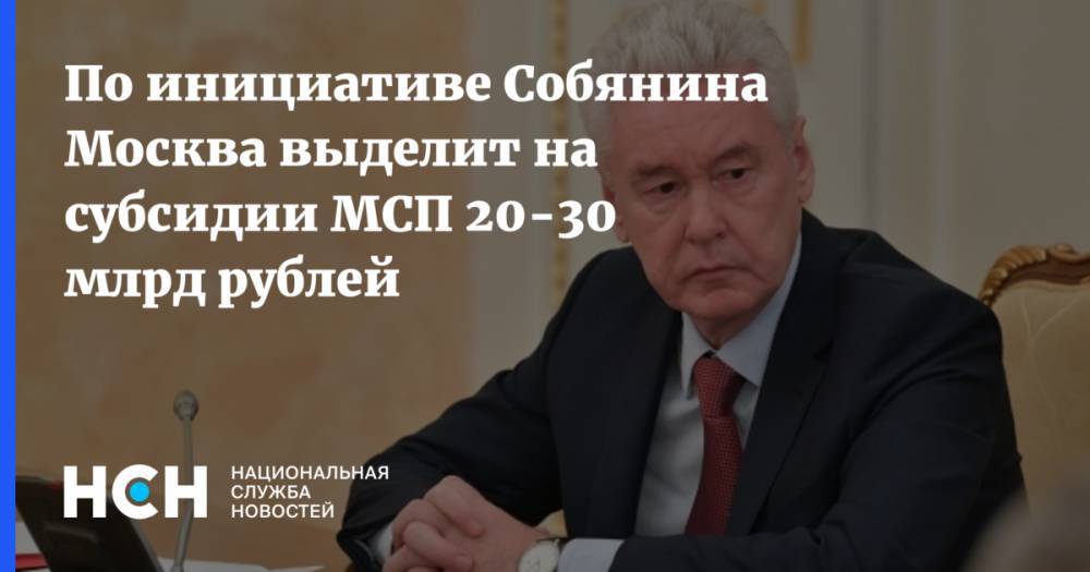 Сергей Собянин - Владимир Ефимов - По инициативе Собянина Москва выделит на субсидии МСП 20-30 млрд рублей - nsn.fm - Москва