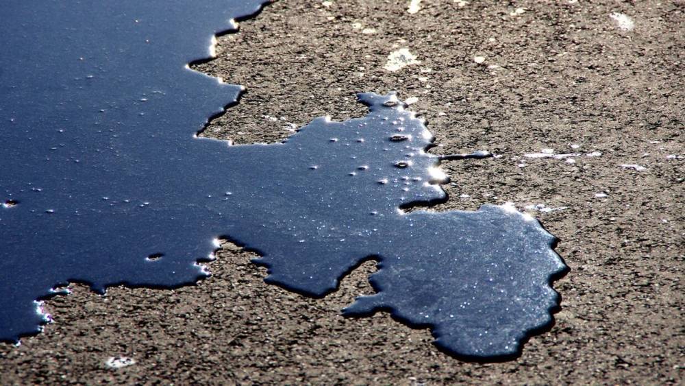 Бактерии из Арктики помогут спасать землю после нефтяного разлива - vestirossii.com - Москва - Россия