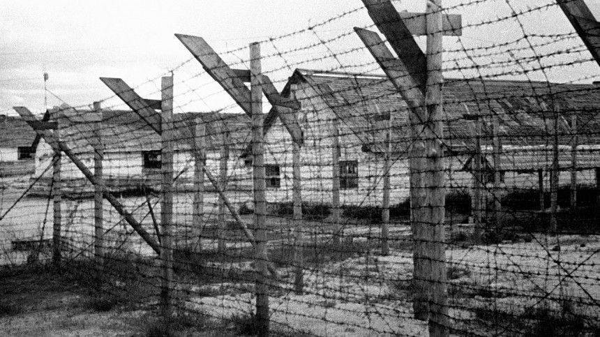 Стали известны детали военных преступлений финских фашистов в Карелии - 5-tv.ru - Карелия - Петрозаводск