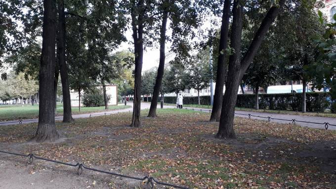 Петербуржец получил в суде предупреждение за прогулку в парке навеселе - piter.tv - Санкт-Петербург