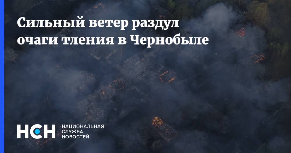 Евгений Тишковец - Сильный ветер раздул очаги тления в Чернобыле - nsn.fm - Россия - Украина