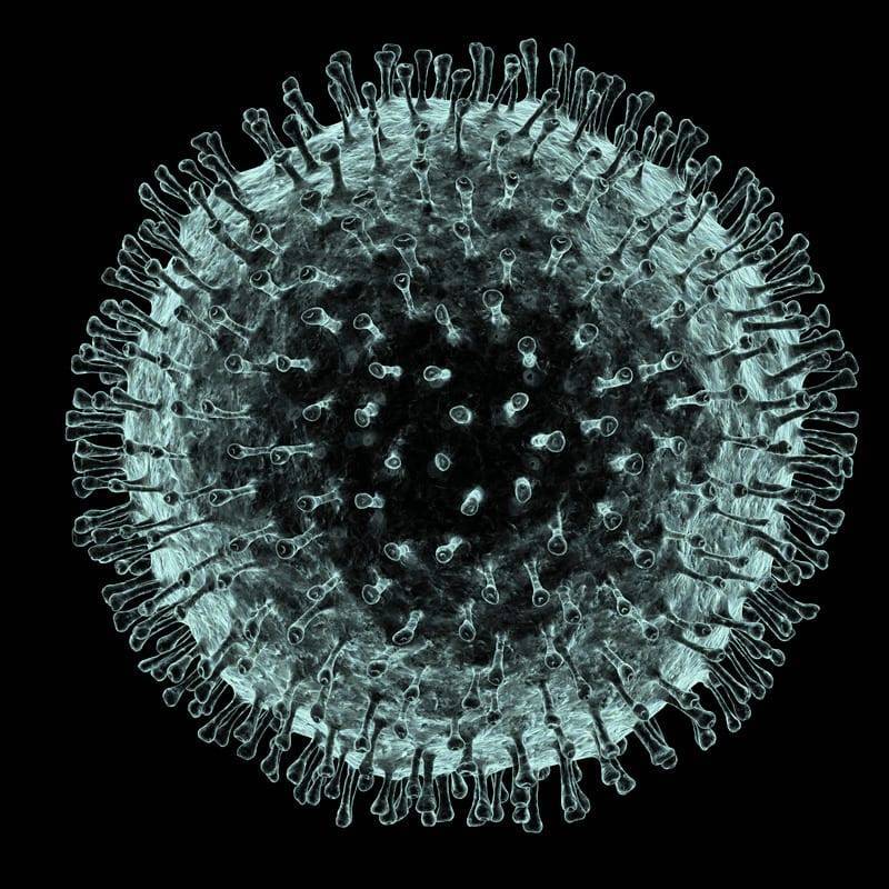 Коронавирус, вызывающий COVID-19, может убить иммунные клетки - ученые - Cursorinfo: главные новости Израиля - cursorinfo.co.il - Китай - Израиль - Гонконг - Нью-Йорк - Шанхай