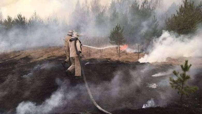 В чернобыльской зоне вновь начался пожар - newizv.ru - Украина - Киев
