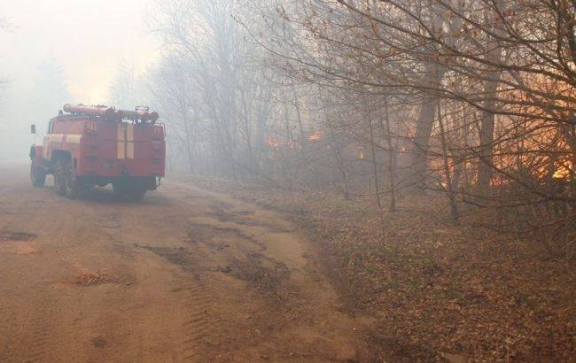 В чернобыльской зоне возобновился пожар - theins.ru - Украина