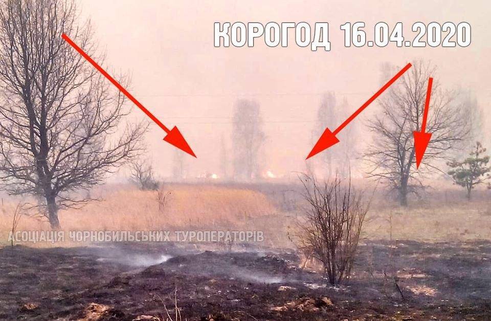 Песчаная буря возобновила пожары в Чернобыльской зоне - politnavigator.net - Украина