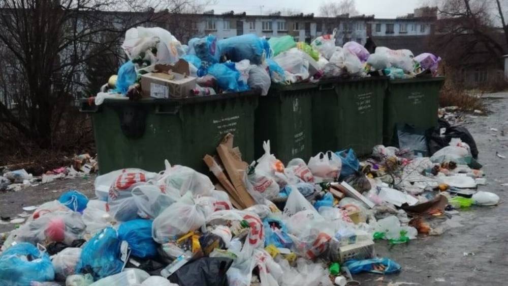 В РЭО опасаются возникновения критической ситуации с вывозом мусора в регионах России - vestirossii.com - Москва - Россия