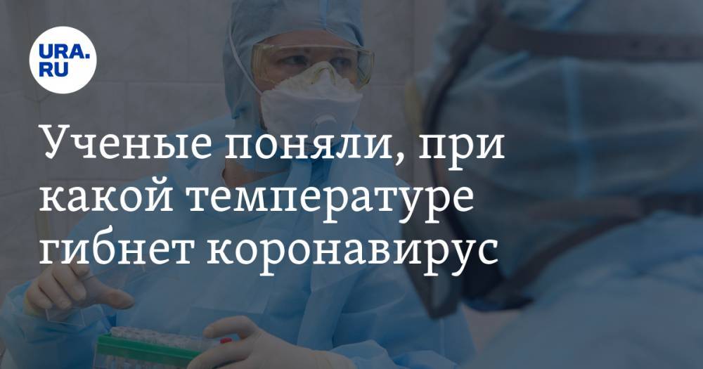 Ученые поняли, при какой температуре гибнет коронавирус. Лета можно не ждать - ura.news