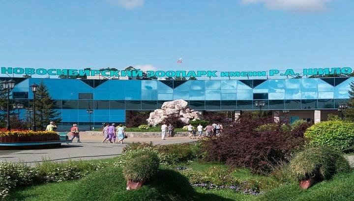 Новосибирский зоопарк ждет помощи от всех желающих - vesti.ru - Новосибирск