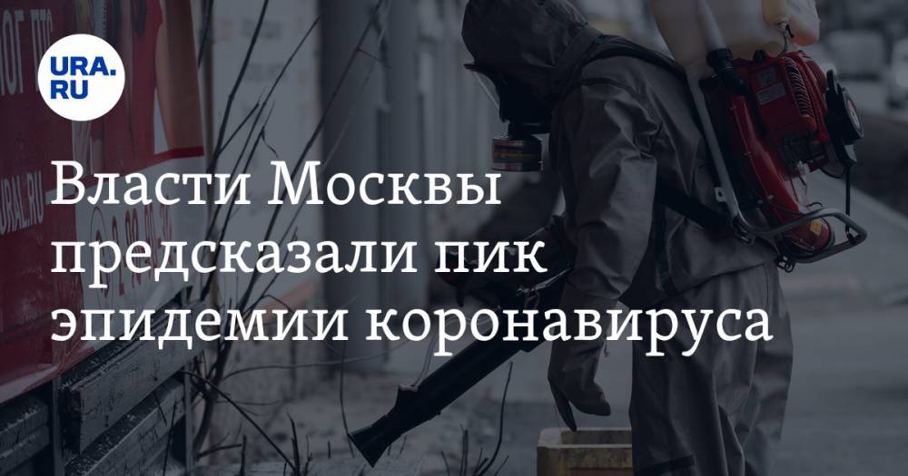 Леонид Рошаль - Анастасия Ракова - Николай Малышев - Власти Москвы предсказали пик эпидемии коронавируса - ura.news - Москва - Россия