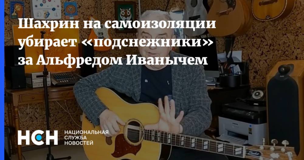 Шахрин на самоизоляции убирает «подснежники» за Альфредом Иванычем - nsn.fm