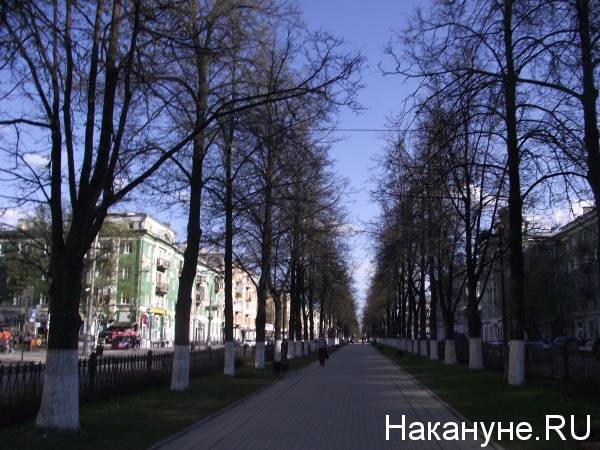 В Прикамье за сутки коронавирус подтвердился у 12 пациентов - nakanune.ru - Москва - Турция - Пермь