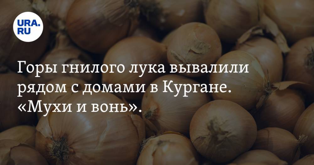 Горы гнилого лука вывалили рядом с домами в Кургане. «Мухи и вонь». ФОТО, ВИДЕО - ura.news