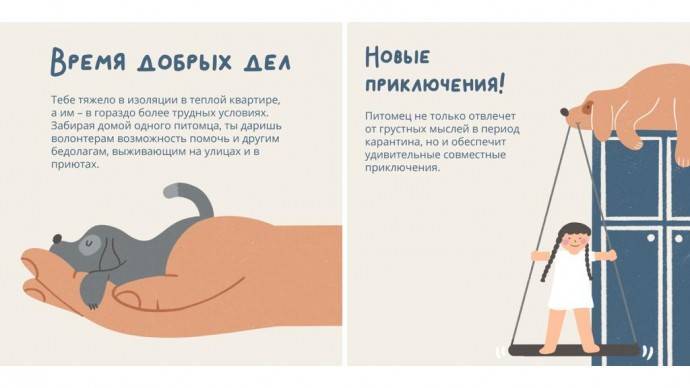 Приюты предложат выбрать нового питомца онлайн и доставят его домой - parkseason.ru - Москва