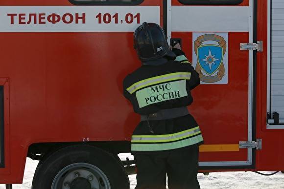 В Челябинской области за сутки произошло 15 лесных пожаров на площади 313 гектаров - znak.com - Челябинская обл.