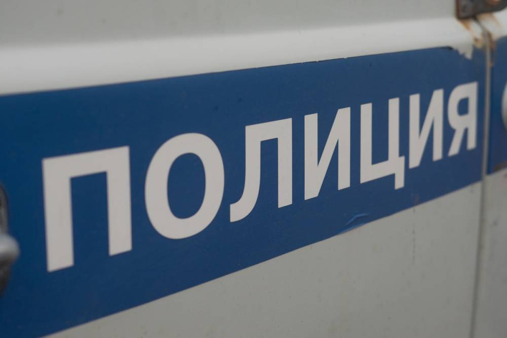 В Ленобласти 10-летний мальчик забил молотком старушку и совершил ограбление - mk.ru - Россия - Ленинградская обл. - Всеволожск
