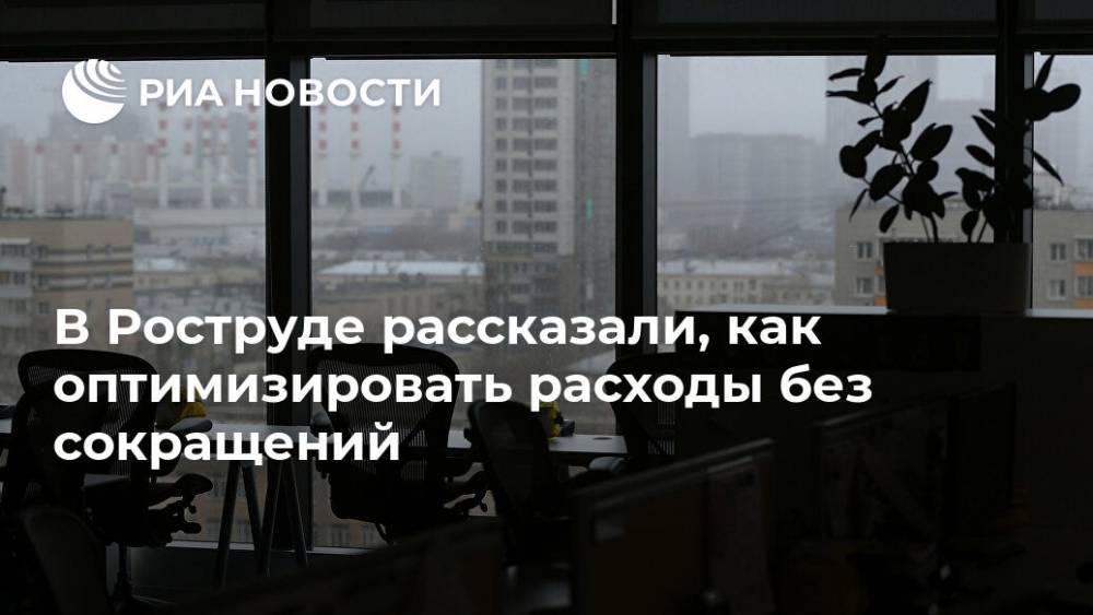 В Роструде рассказали, как оптимизировать расходы без сокращений - ria.ru - Москва