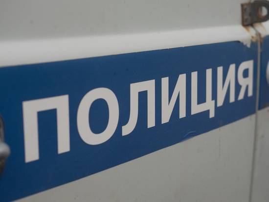 В Ленобласти 10-летний мальчик забил молотком старушку и совершил ограбление - newsland.com - Россия - Ленинградская обл. - Всеволожск
