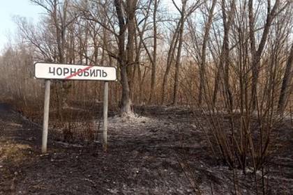 Мария Захарова - Россия рассказала о готовности помочь Украине в Чернобыле - lenta.ru - Москва - Россия - Украина - Киев