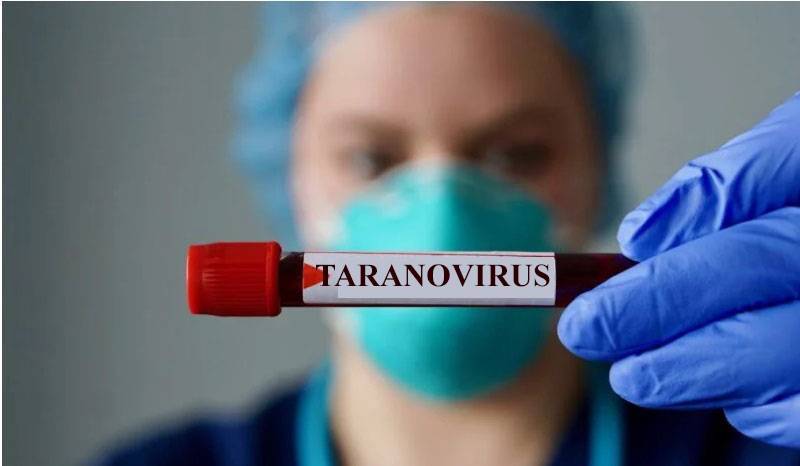 Берегитесь «тарановируса», убивающего промышленность - newsland.com - Россия - Новосибирск