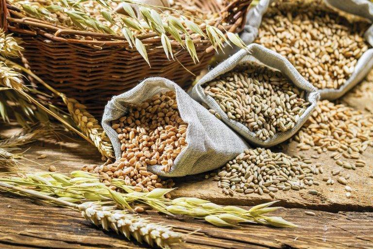 Agrocorp и Cargill использовали платформу на блокчейне для продажи пшеницы на $12 млн - vestirossii.com - Индонезия