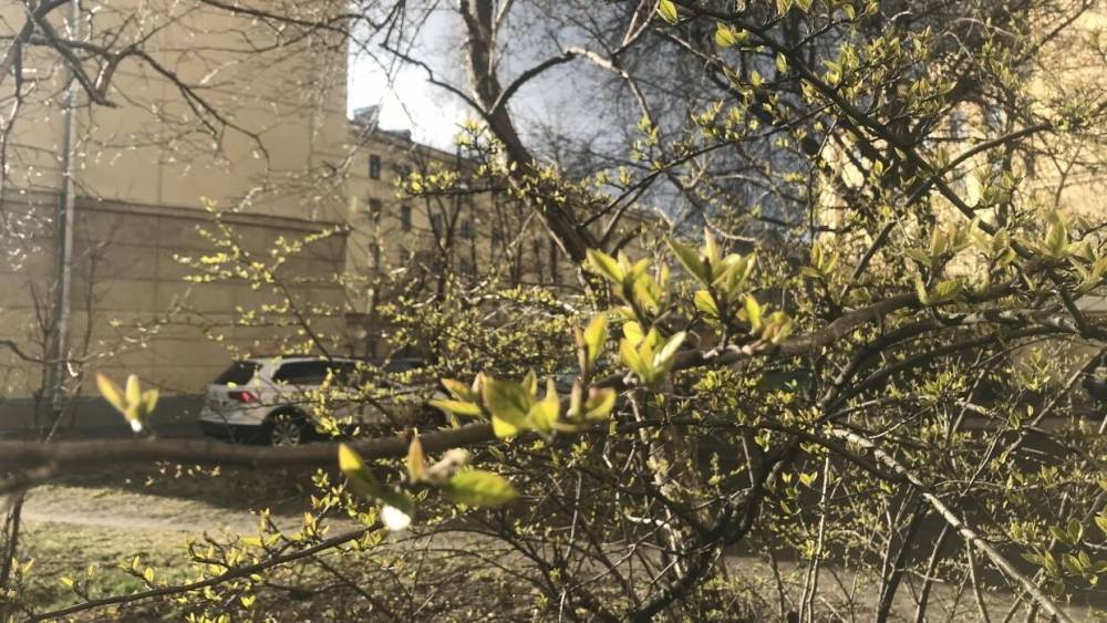 Роман Вильфанд - Гидрометцентр прогнозирует аномальное тепло в нескольких российских регионах - riafan.ru - Москва - Россия - Красноярский край - Тюменская обл. - Салехард