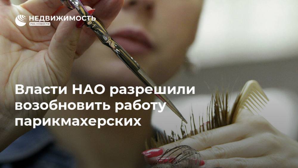 Юрий Бездудный - Власти НАО разрешили возобновить работу парикмахерских - realty.ria.ru - Россия - Мурманск - окр.Ненецкий