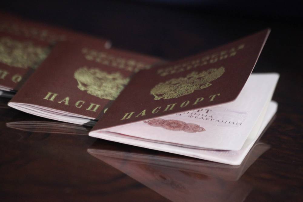 Совет Федерации одобрил закон об упрощении получения гражданства РФ - vm.ru - Россия