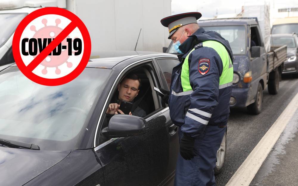 Хочу увезти семью на дачу, в деревню, другой город – можно? - zr.ru - Москва - Иркутская обл. - Санкт-Петербург - Московская обл. - Нижегородская обл. - Кемеровская обл. - Тюменская обл. - Севастополь - Липецкая обл.
