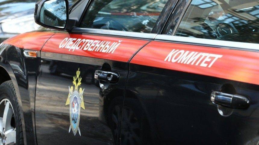 Светлана Петренко - Сергей Новиков - СК будет ходатайствовать о заключении замглавы Хакасии под стражу - 5-tv.ru - Россия - респ. Хакасия