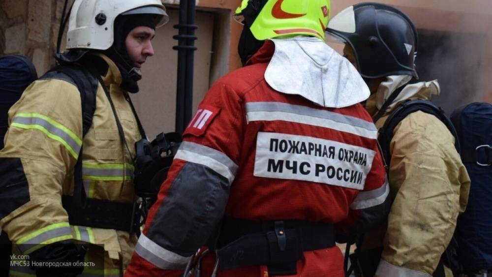 Спасатели обнаружили тела четырех погибших на месте крушения самолета под Хабаровском - politexpert.net - Хабаровский край - Хабаровск