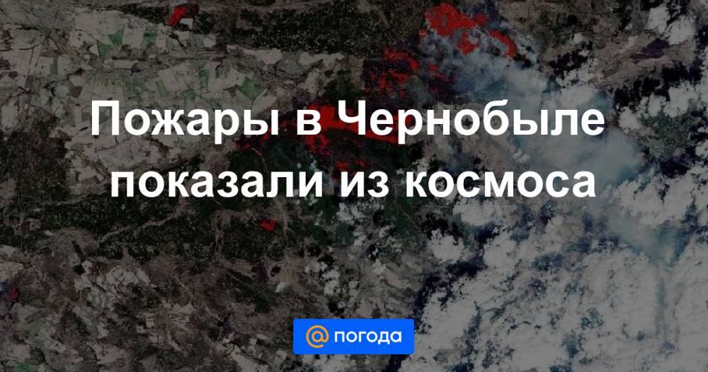 Анна Лысенко - Пожары в Чернобыле показали из космоса - news.mail.ru