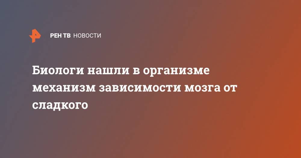 Биологи нашли в организме механизм зависимости мозга от сладкого - ren.tv - Колумбия