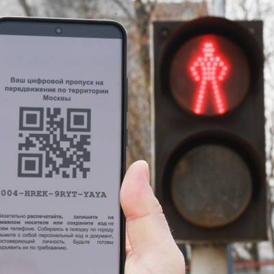 Сергей Собянин - Проверка наличия пропусков для поездок по Москве будет проходить в автоматическом режиме - radiomayak.ru - Москва - Московская обл.