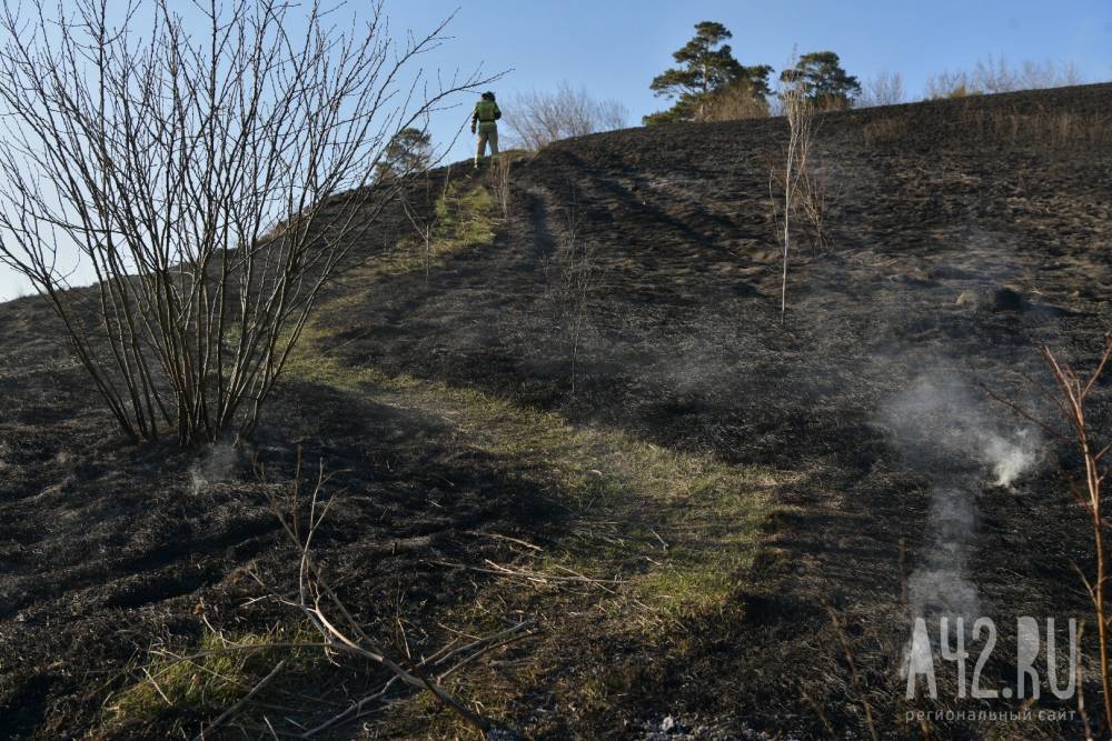 Александр Патрин - В Сосновом бору в Кемерове загорелась трава - gazeta.a42.ru - Кемеровская обл.