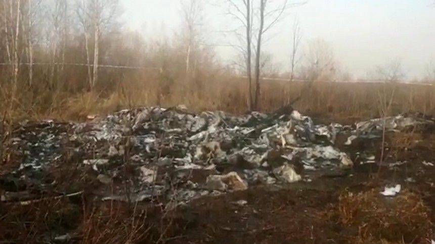 Названа истинная причина крушения самолета Л-142 под Хабаровском - 5-tv.ru - Хабаровский край - Хабаровск
