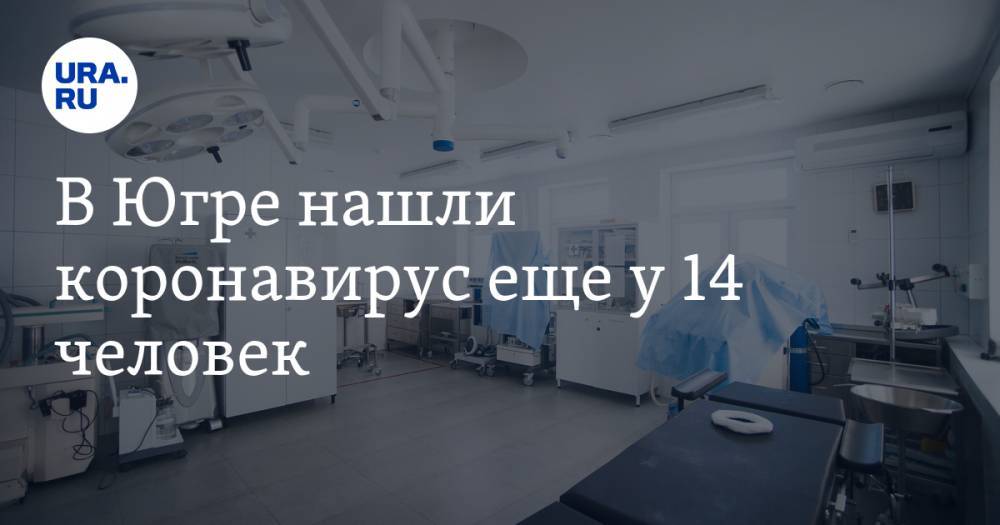 В Югре нашли коронавирус еще у 14 человек - ura.news - Югра