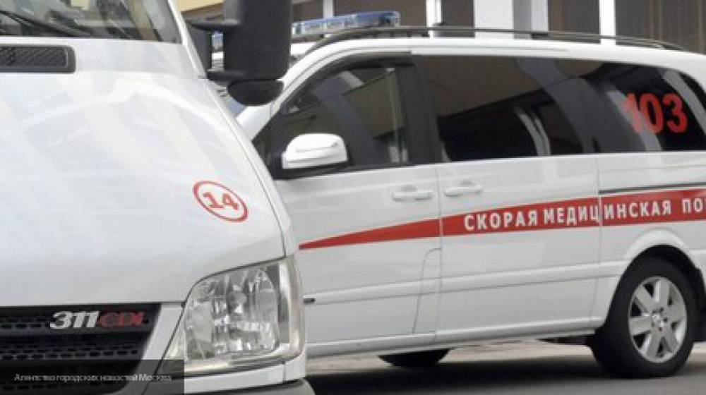 Полиция задержала двоих кировчан, напавших на врача "скорой" - nation-news.ru - Кировская обл.