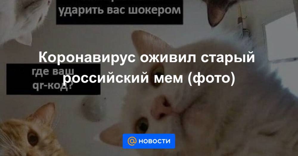 Анна Лысенко - Коронавирус оживил старый российский мем (фото) - news.mail.ru