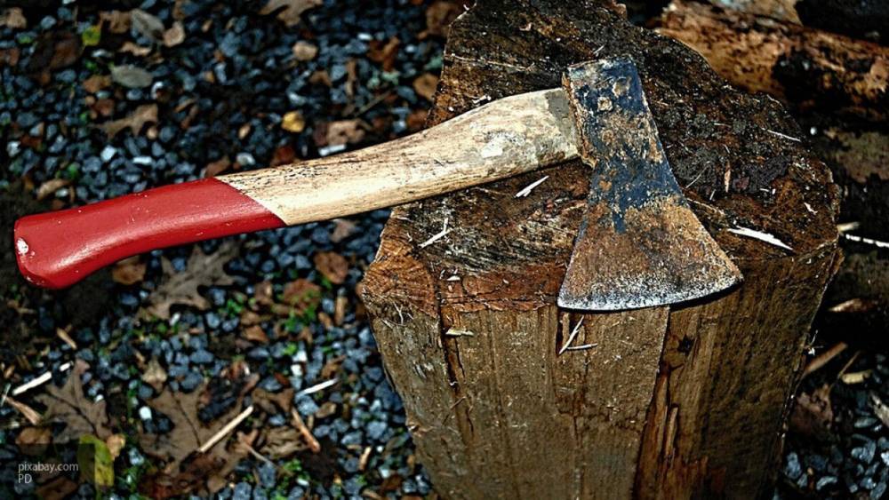 Владислава Грин - Индус порубил топором жену, ее любовника и дедушку из-за коронавируса - nation-news.ru - India - штат Махараштра