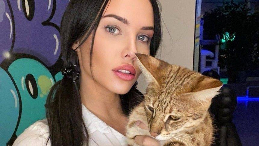 Анастасия Решетова - «Топ-услуга»: Решетова показала, как кот делает массаж лица Тимати - 5-tv.ru