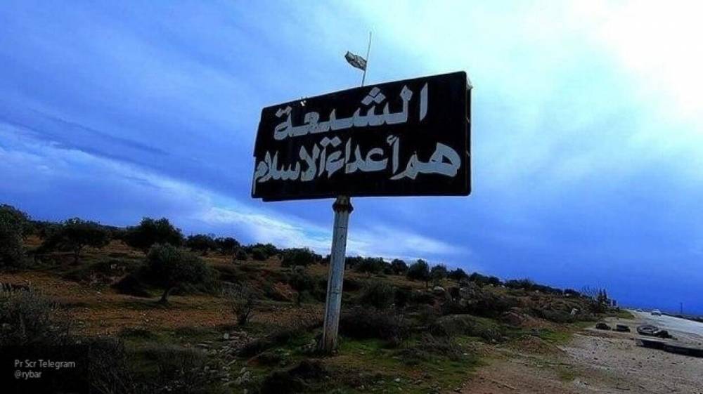 Турция намерена взять под контроль сирийский Идлиб при помощи связи с террористами - politros.com - Россия - Сирия - Турция - Анкара