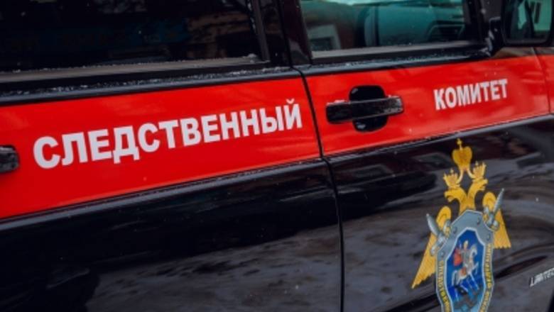 Тюменские следователи проверят факт избиения женщины-инвалида - nashgorod.ru