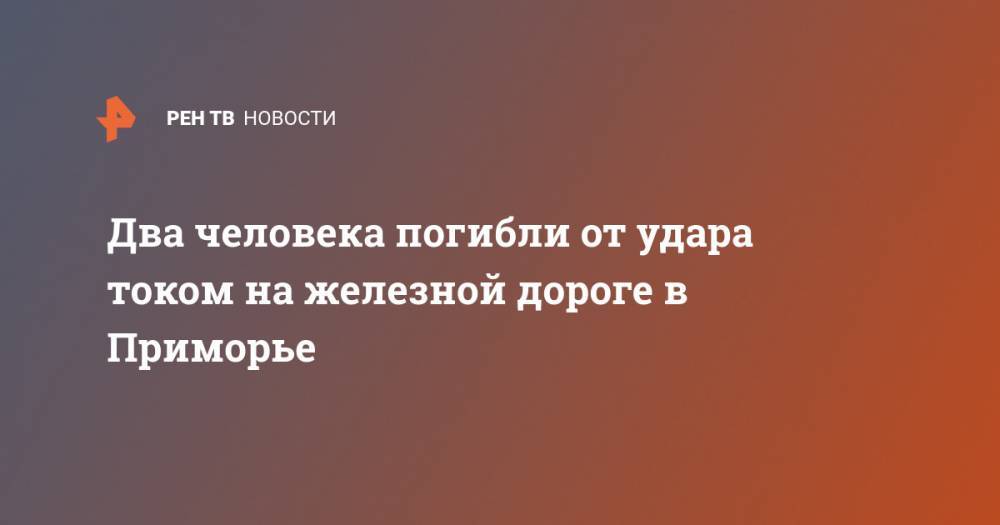 Два человека погибли от удара током на железной дороге в Приморье - ren.tv - Россия - Приморье край - Владивосток