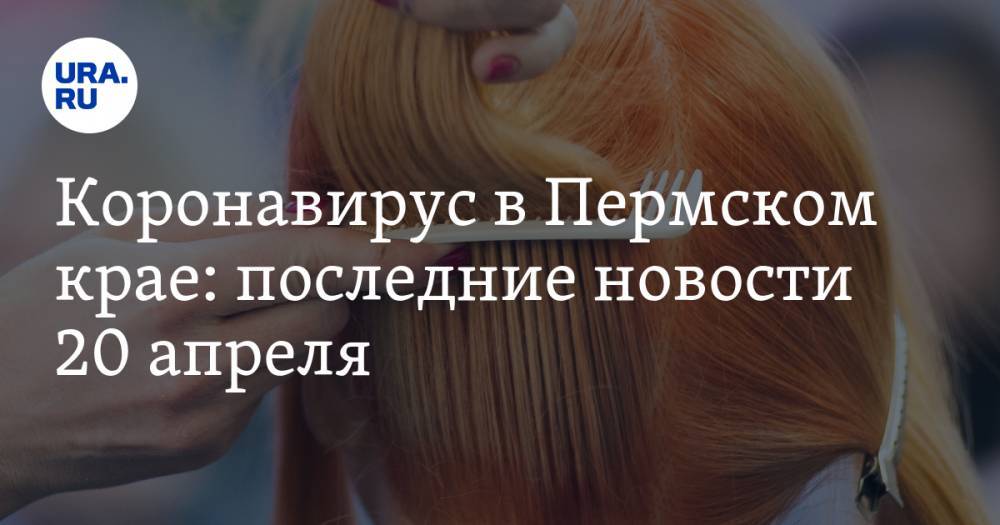 Коронавирус в Пермском крае: последние новости 20 апреля. На священника написали заявление, рекордное число заболевших, пермякам разрешат стричься - ura.news - Россия - Санкт-Петербург - Пермский край