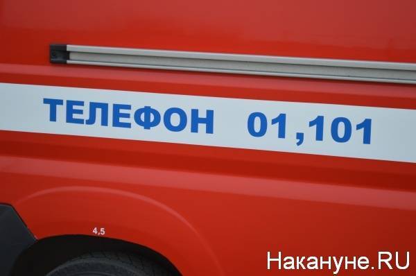 В Екатеринбурге на пожаре погибли 12 лошадей и пять собак - nakanune.ru - Екатеринбург - Свердловская обл.
