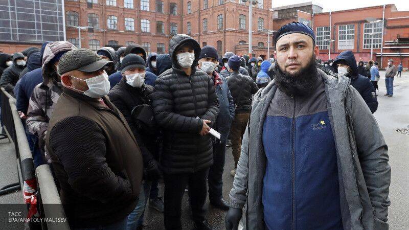 Михаил Мишустин - Светлана Чупшева - Мигрантов могут приравнять к россиянам и выплачивать им пособия по безработице - nation-news.ru - Россия - Португалия