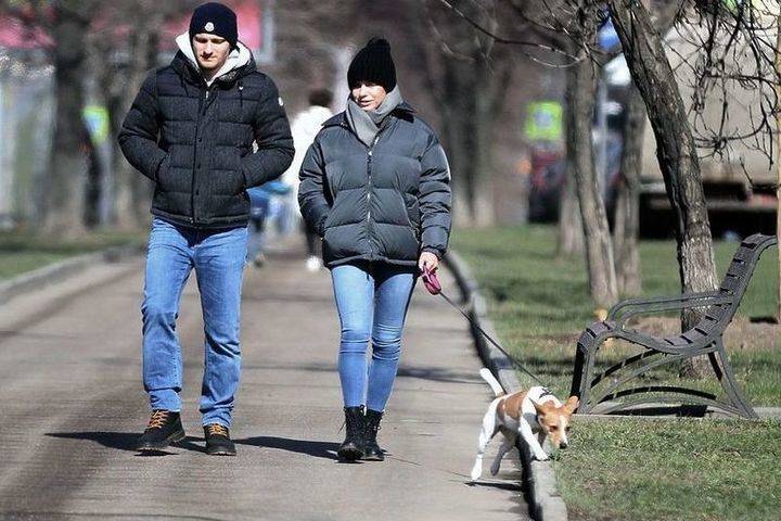Михаил Мурашко - В Москве резко снизилось количество случаев заражения коронавирусом - mk.ru - Москва - Россия