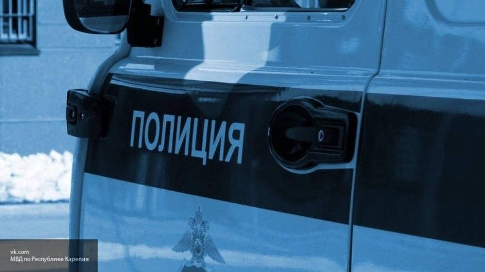 Вадим Наумов - Труп на дереве омрачил прогулку петербуржца с собакой - nation-news.ru - Санкт-Петербург