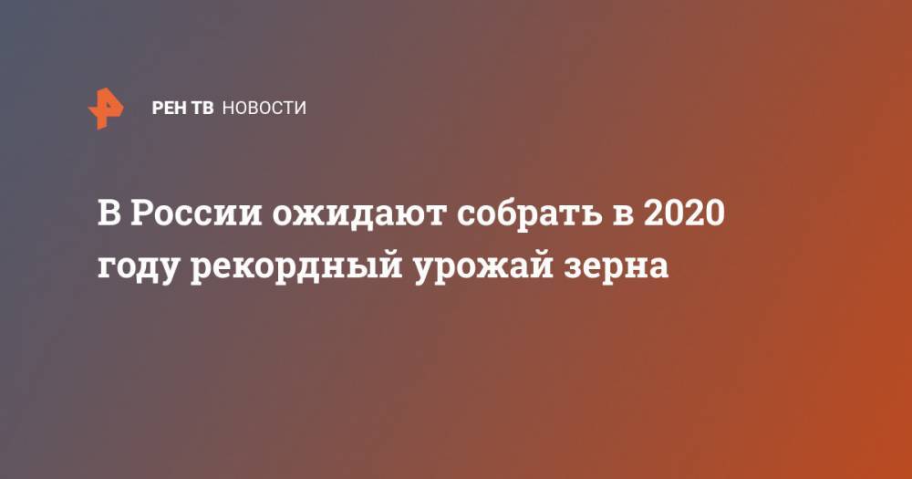 Аркадий Злочевский - В России ожидают собрать в 2020 году рекордный урожай зерна - ren.tv - Россия