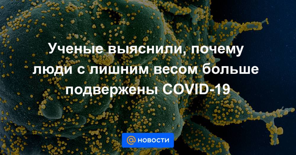 Ученые выяснили, почему люди с лишним весом больше подвержены COVID-19 - news.mail.ru